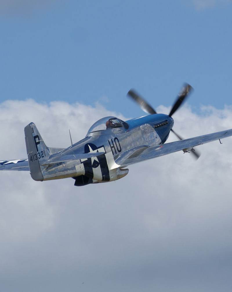  - Warbird