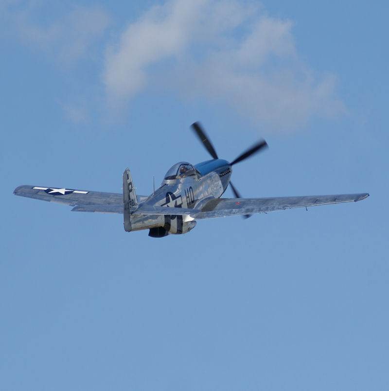  - Warbird