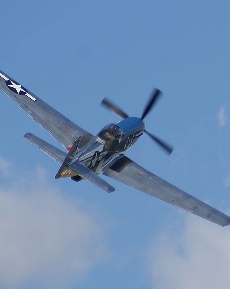  - Warbird
