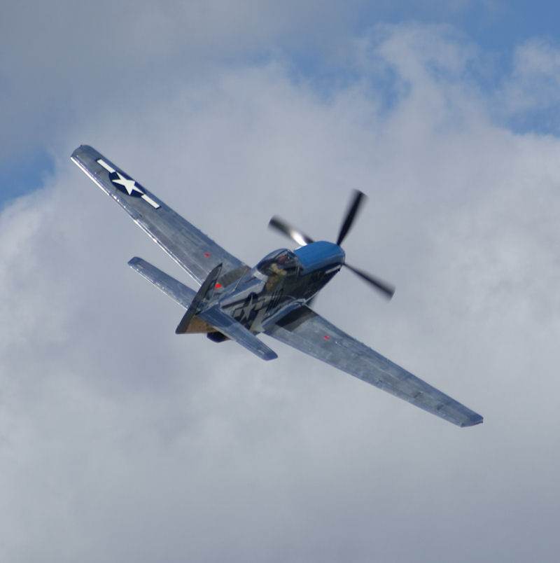  - Warbird