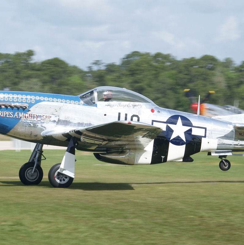  - Warbird