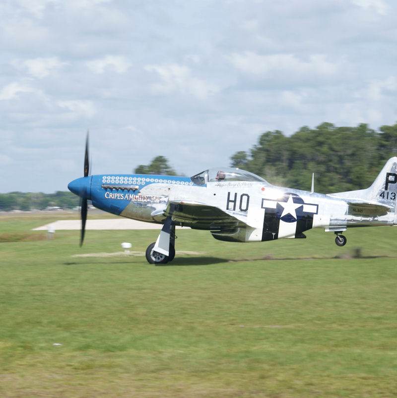  - Warbird
