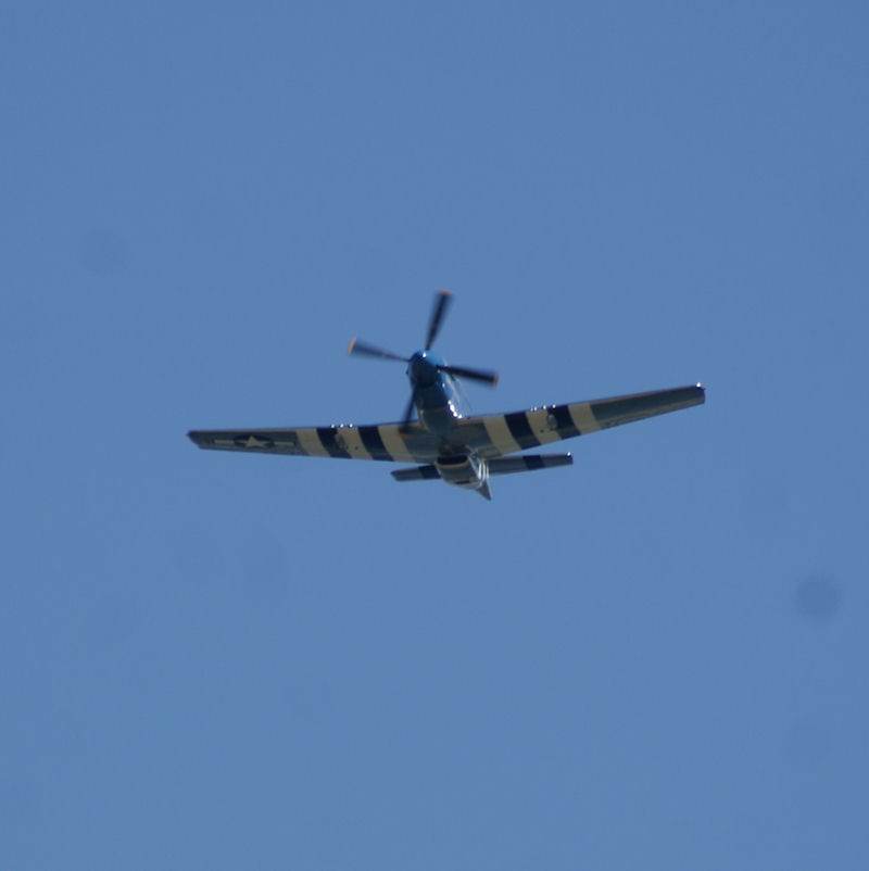  - Warbird