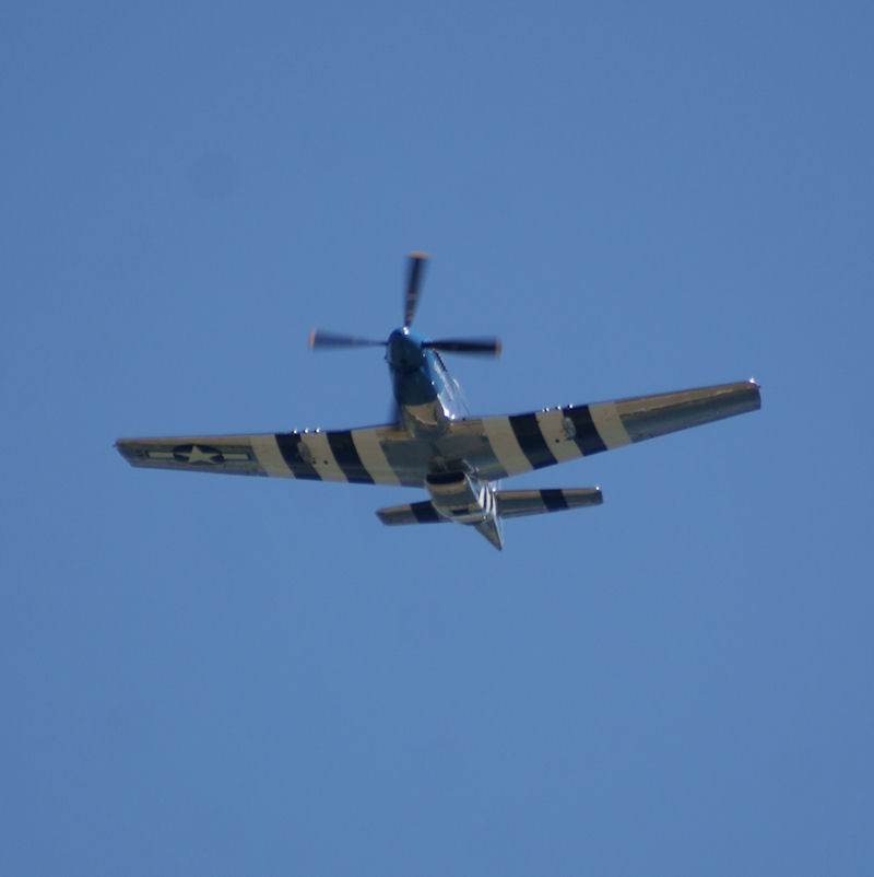  - Warbird