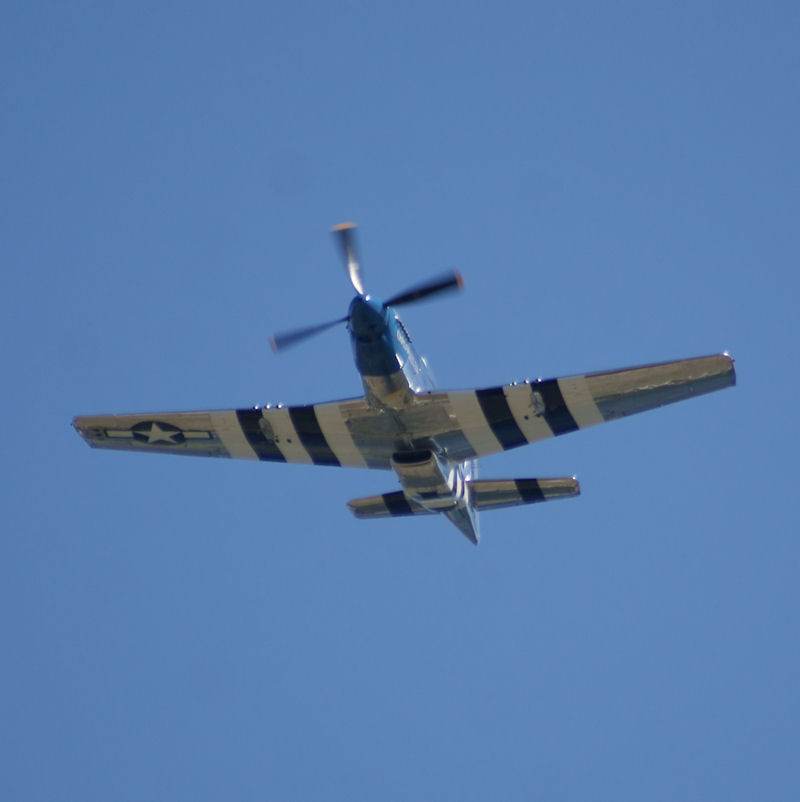  - Warbird