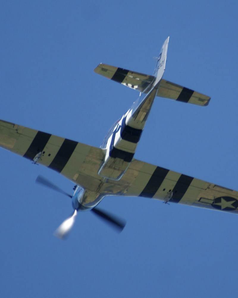  - Warbird