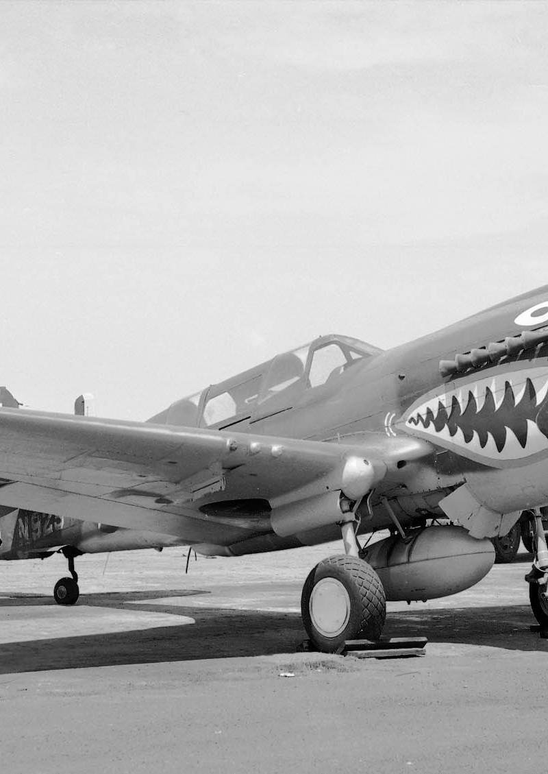 N923 - Warbird
