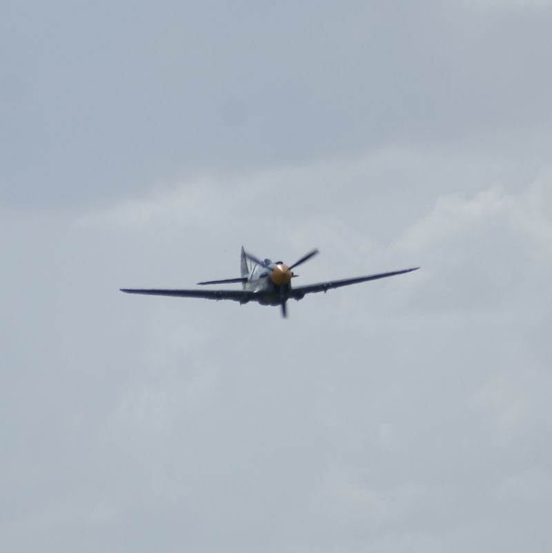  - Warbird