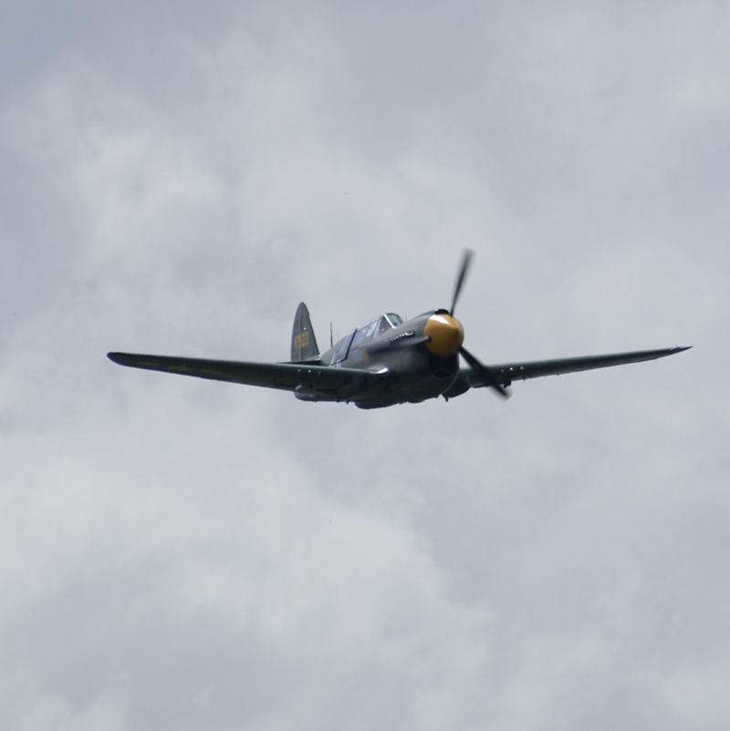 - Warbird