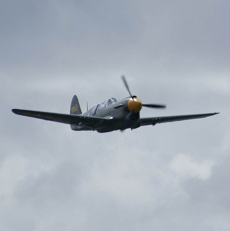  - Warbird