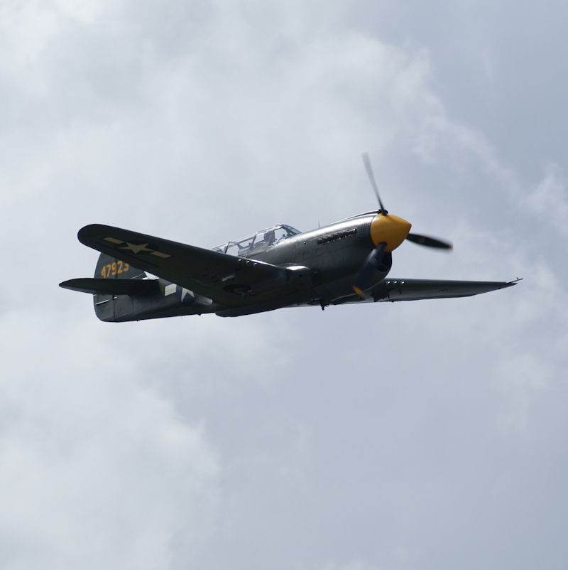  - Warbird