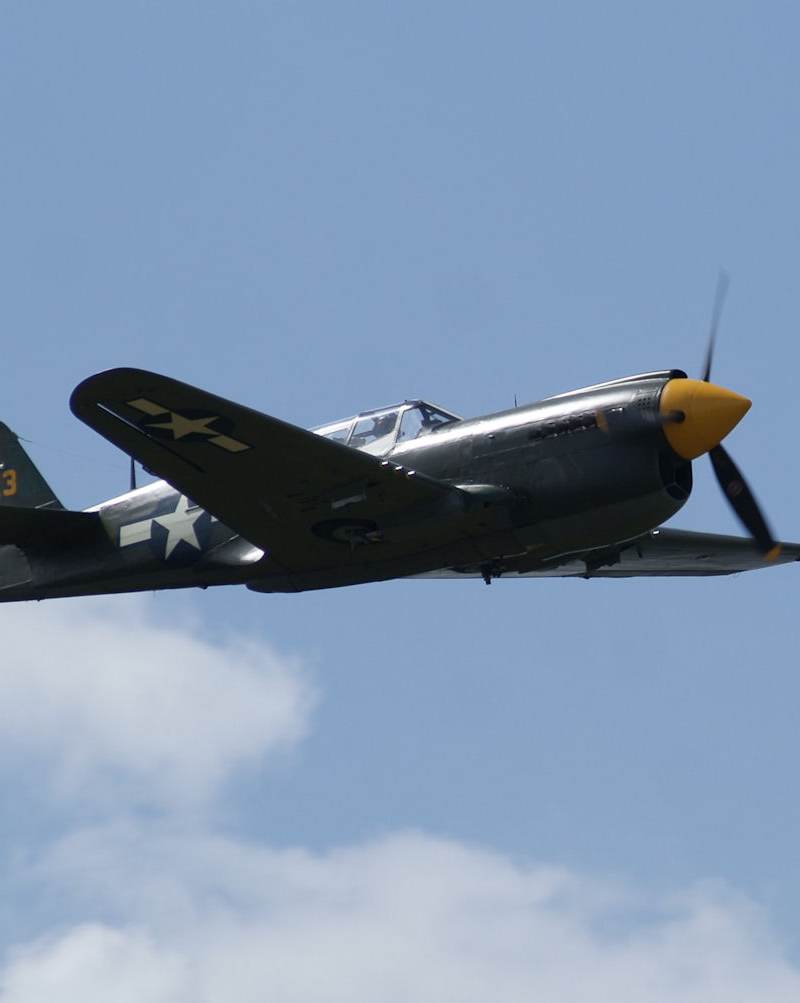  - Warbird