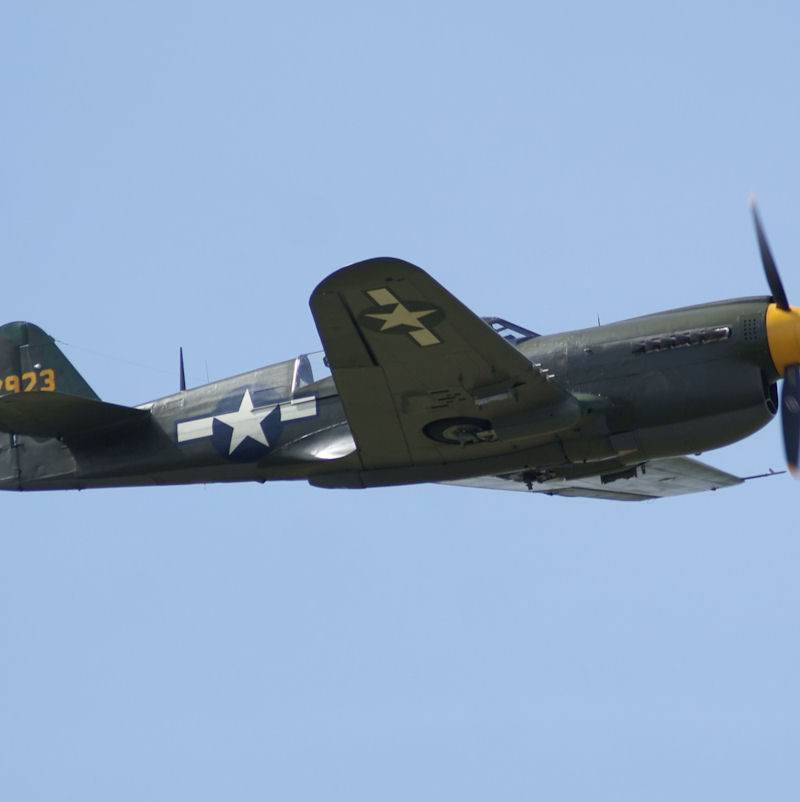  - Warbird