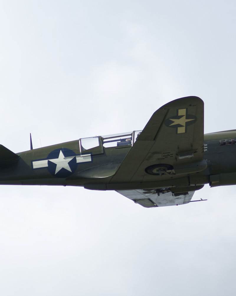  - Warbird
