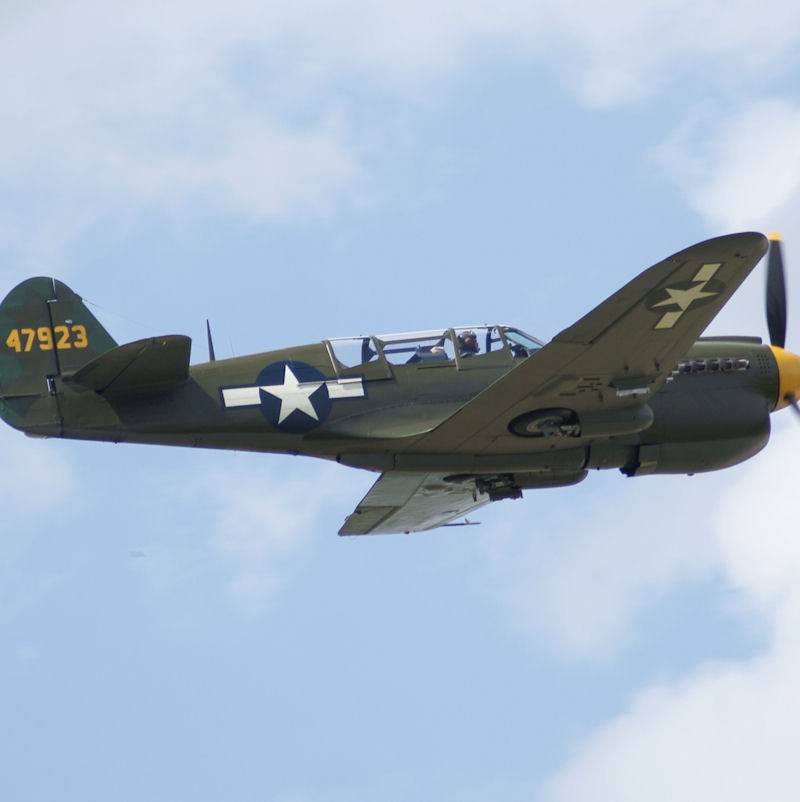  - Warbird