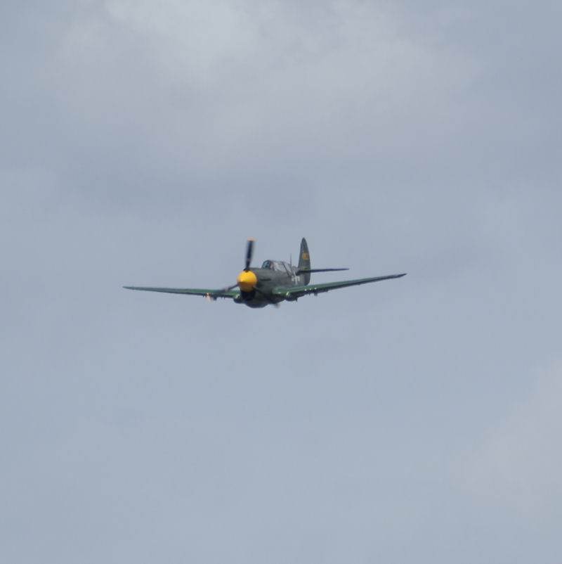  - Warbird