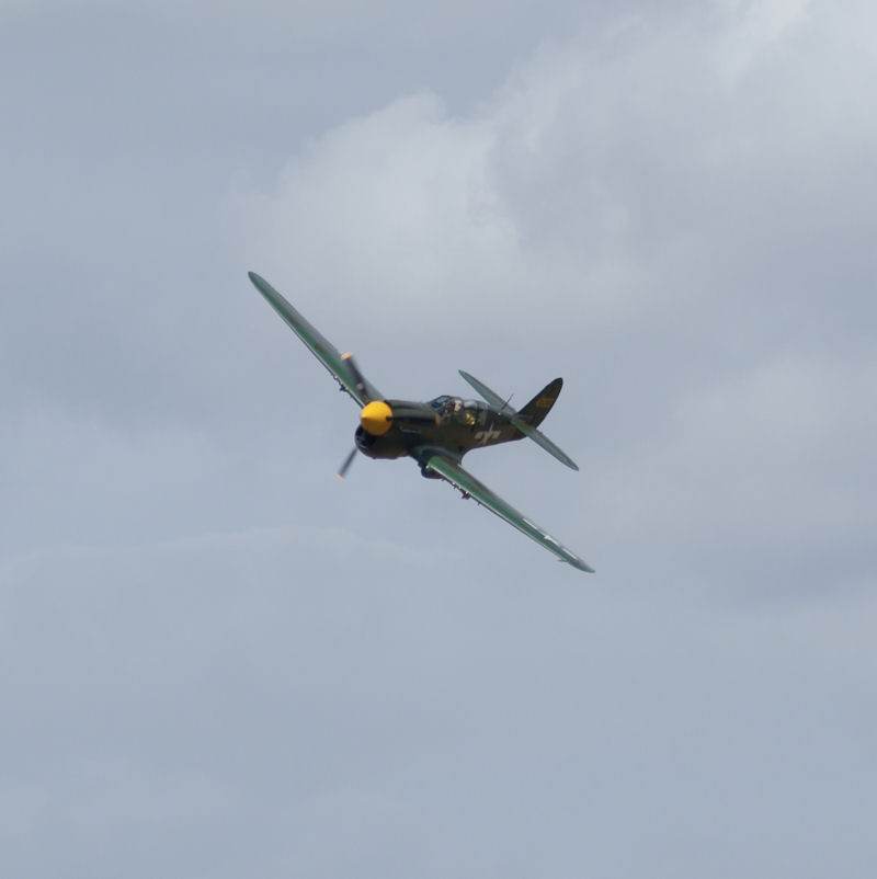  - Warbird