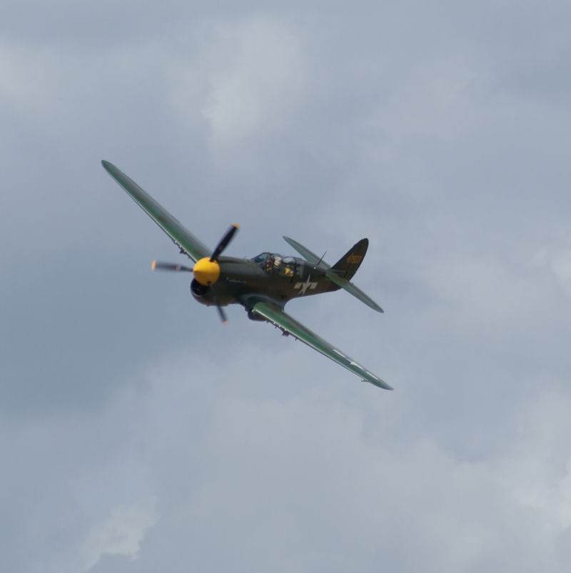  - Warbird