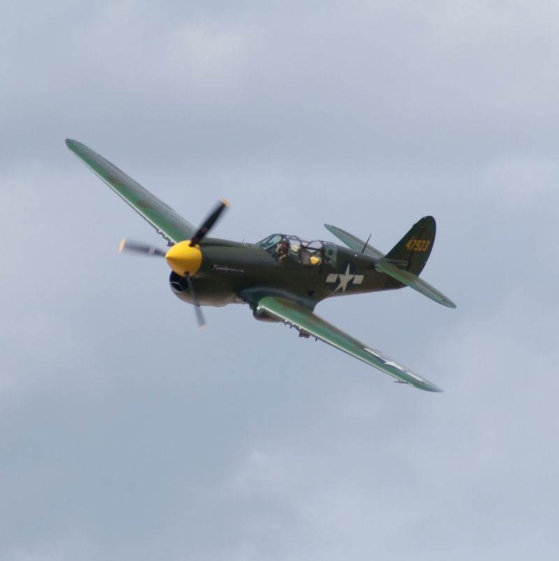  - Warbird