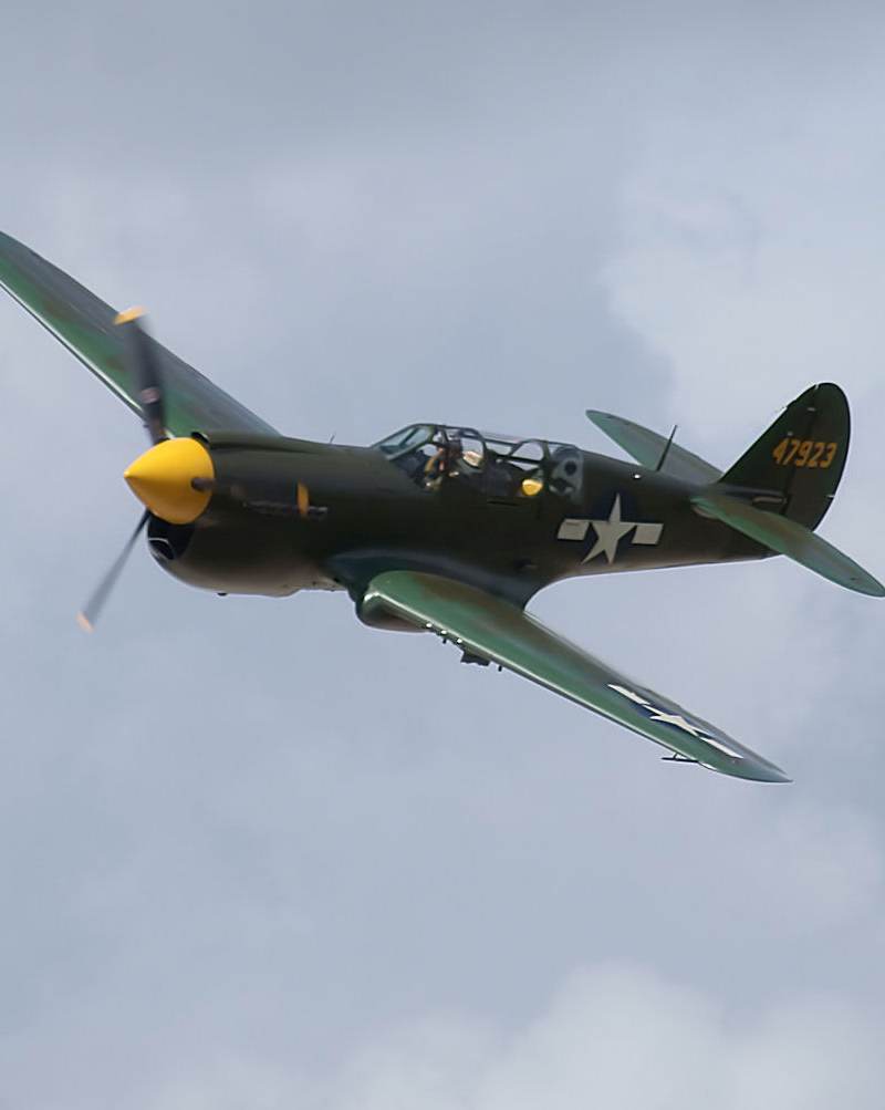  - Warbird