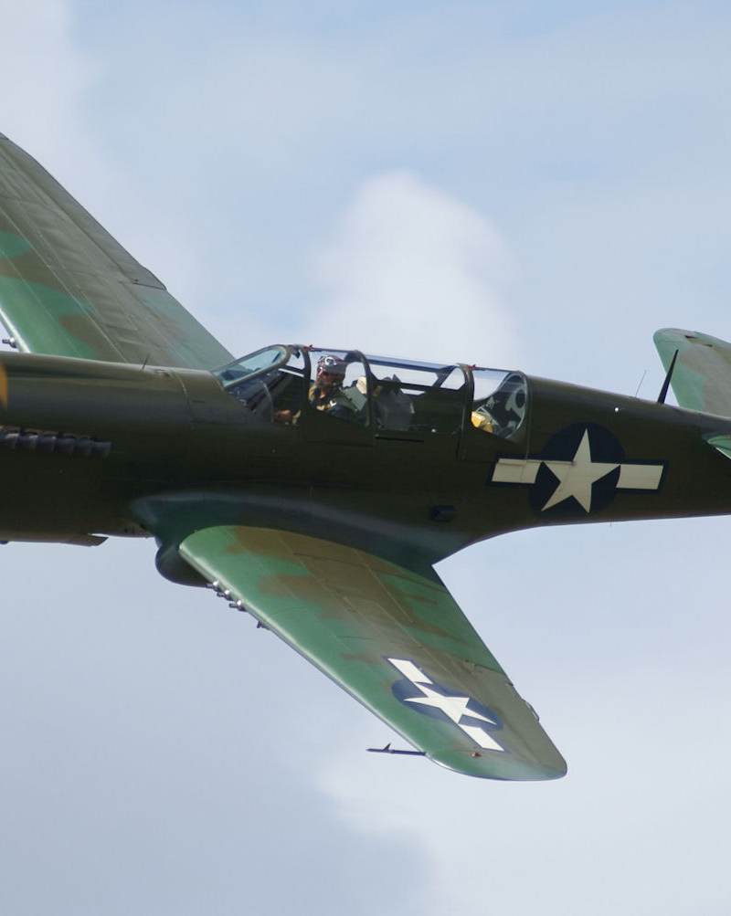  - Warbird