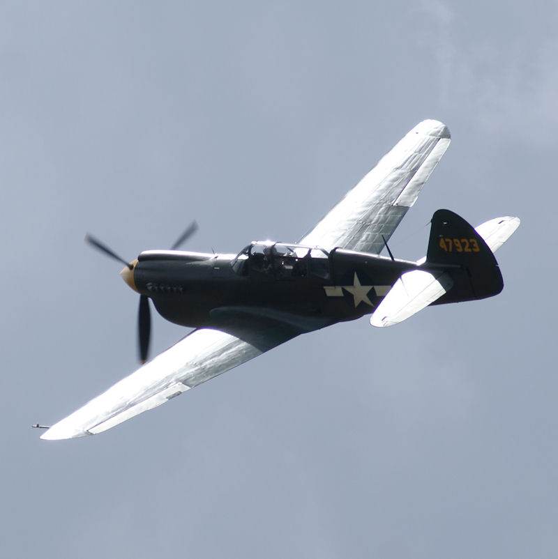  - Warbird