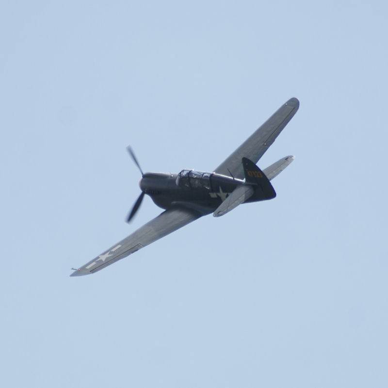  - Warbird