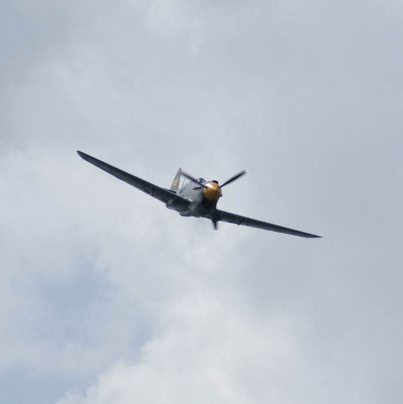  - Warbird