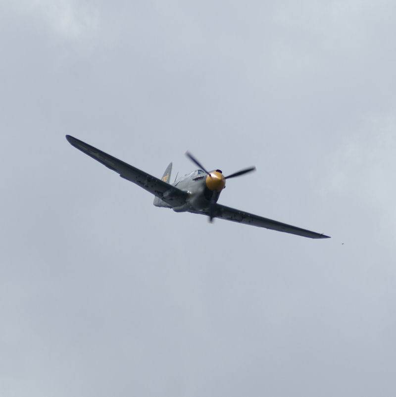  - Warbird