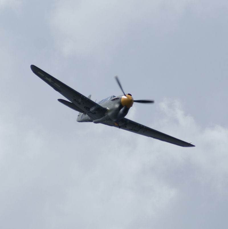  - Warbird