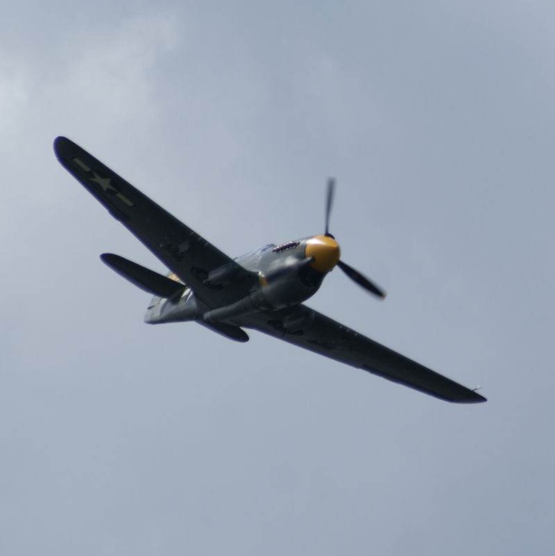  - Warbird