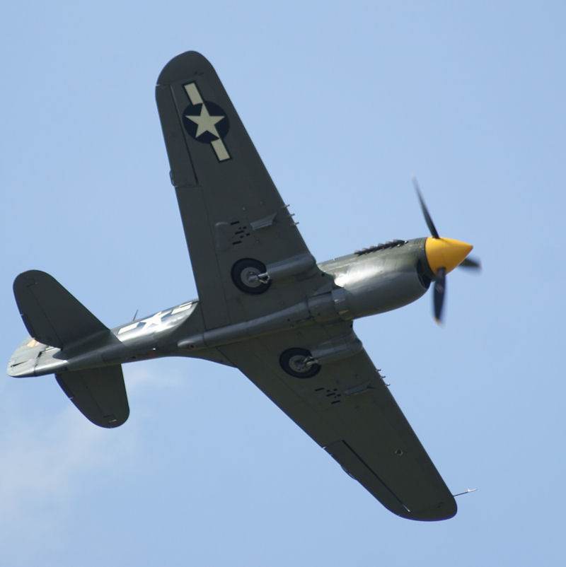  - Warbird