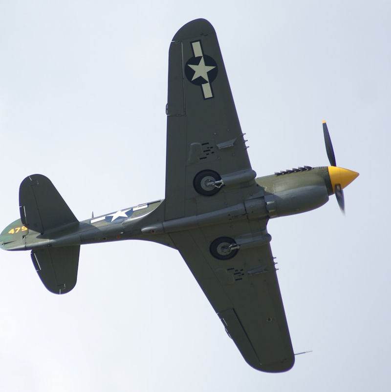  - Warbird