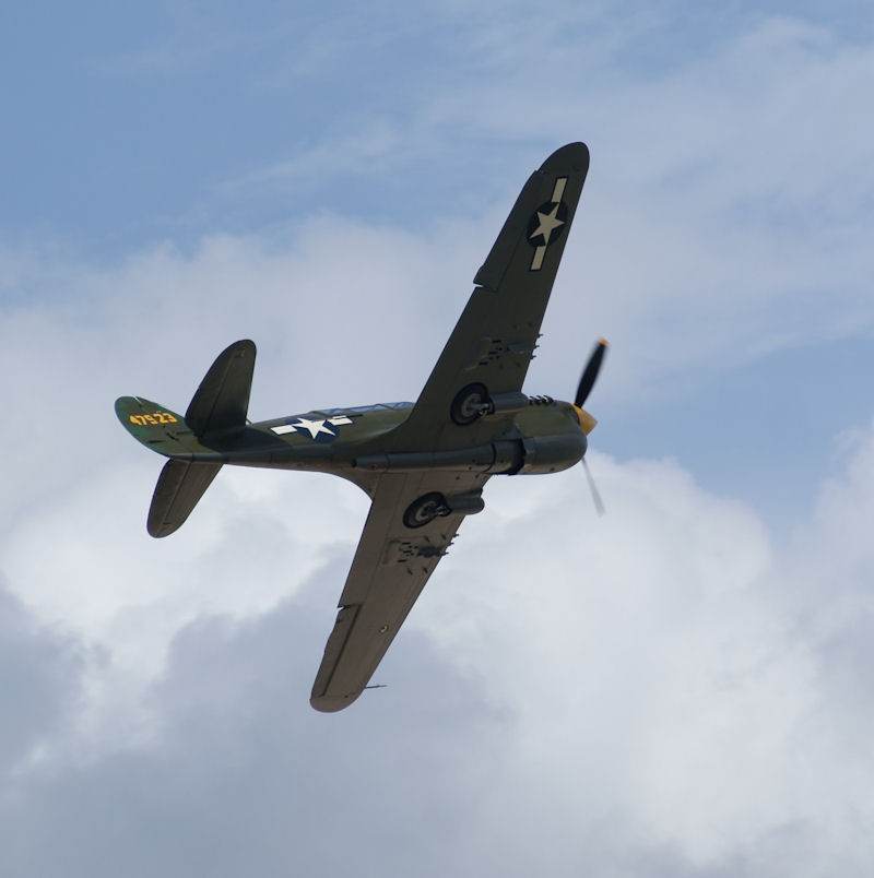  - Warbird
