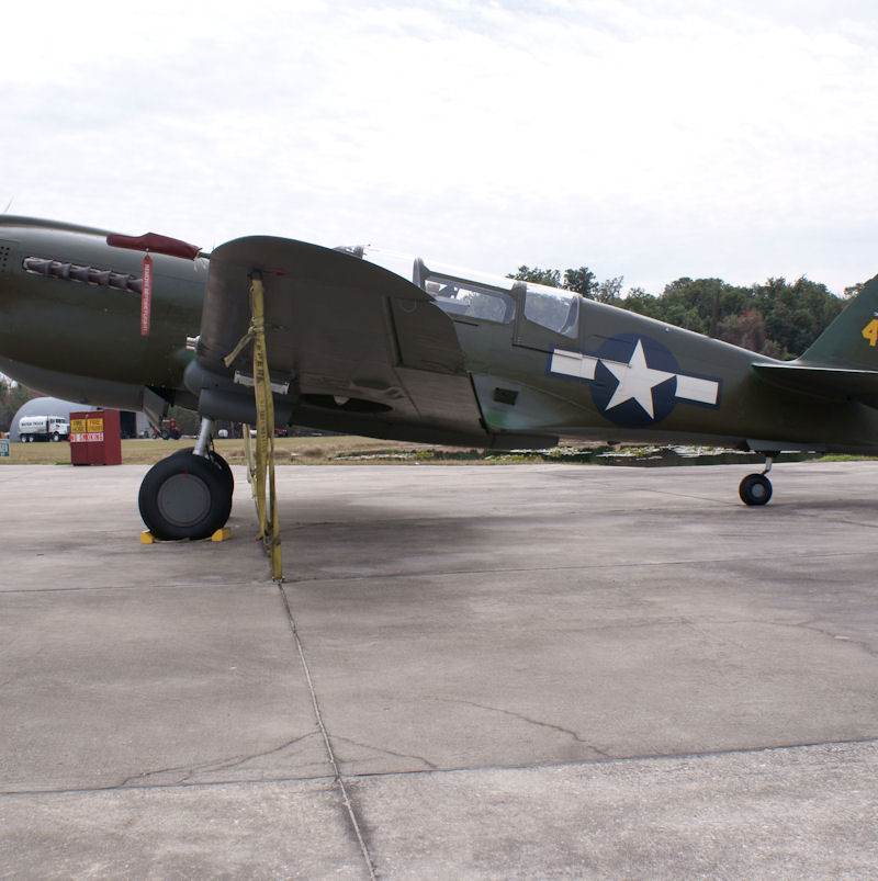  - Warbird