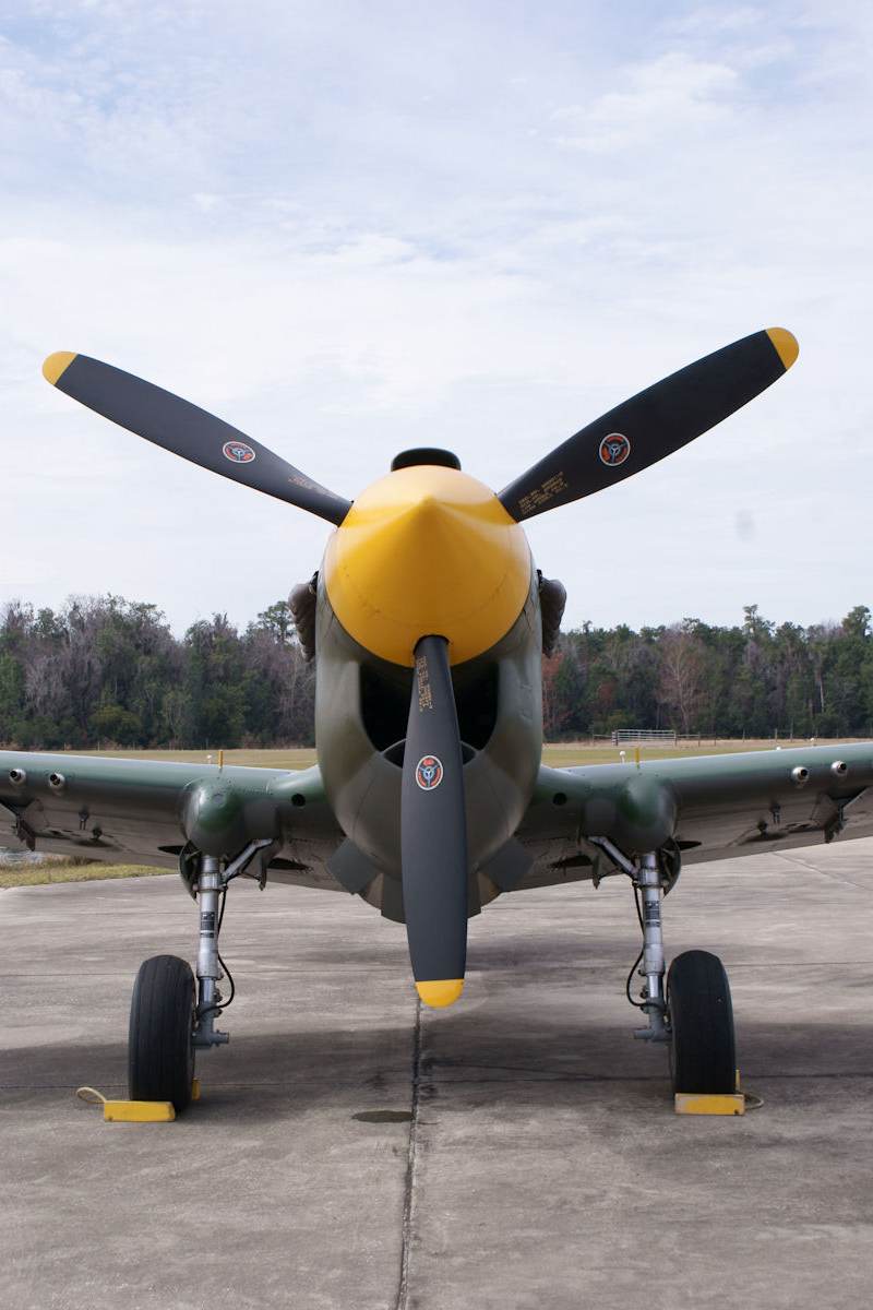  - Warbird