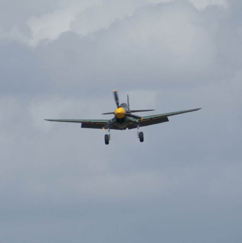  - Warbird