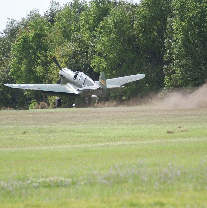  - Warbird