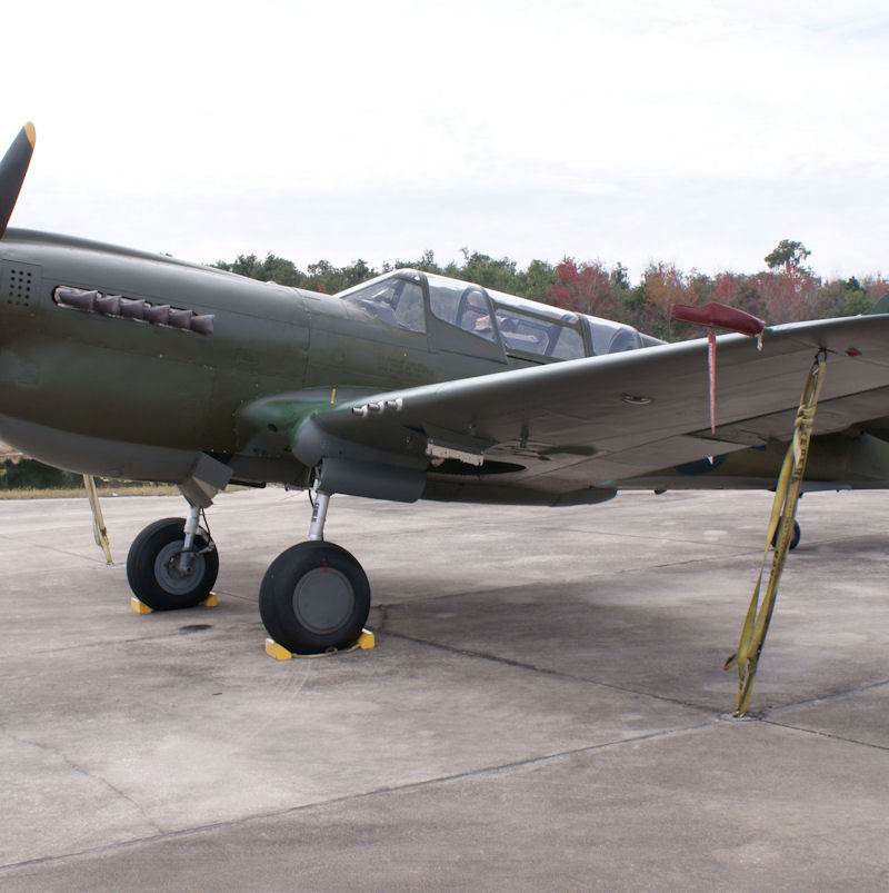  - Warbird