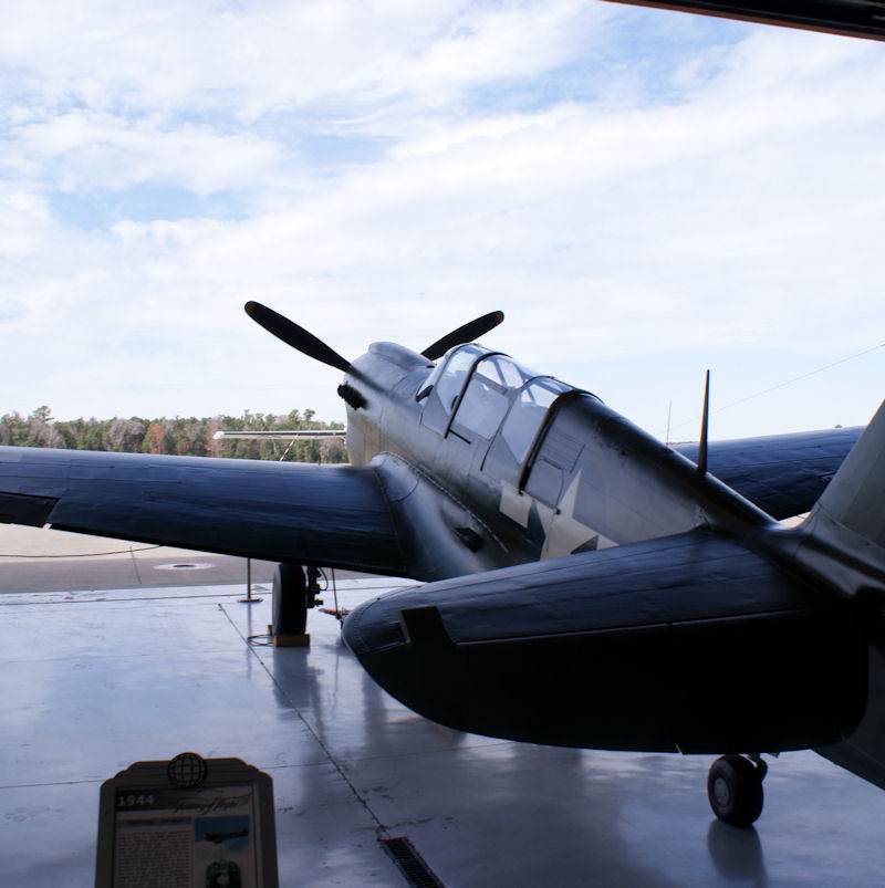  - Warbird