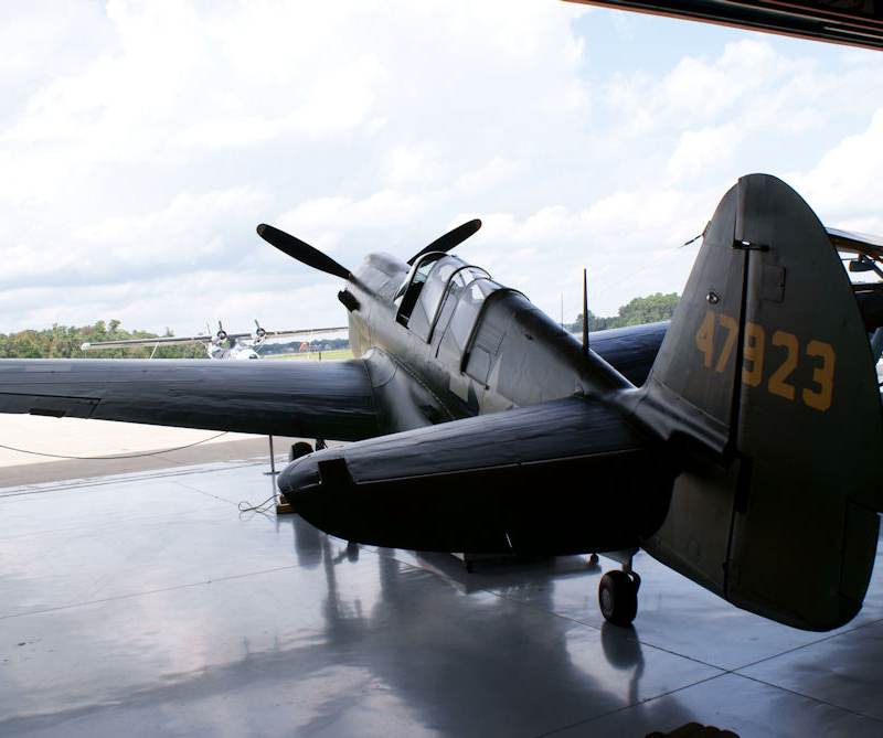  - Warbird