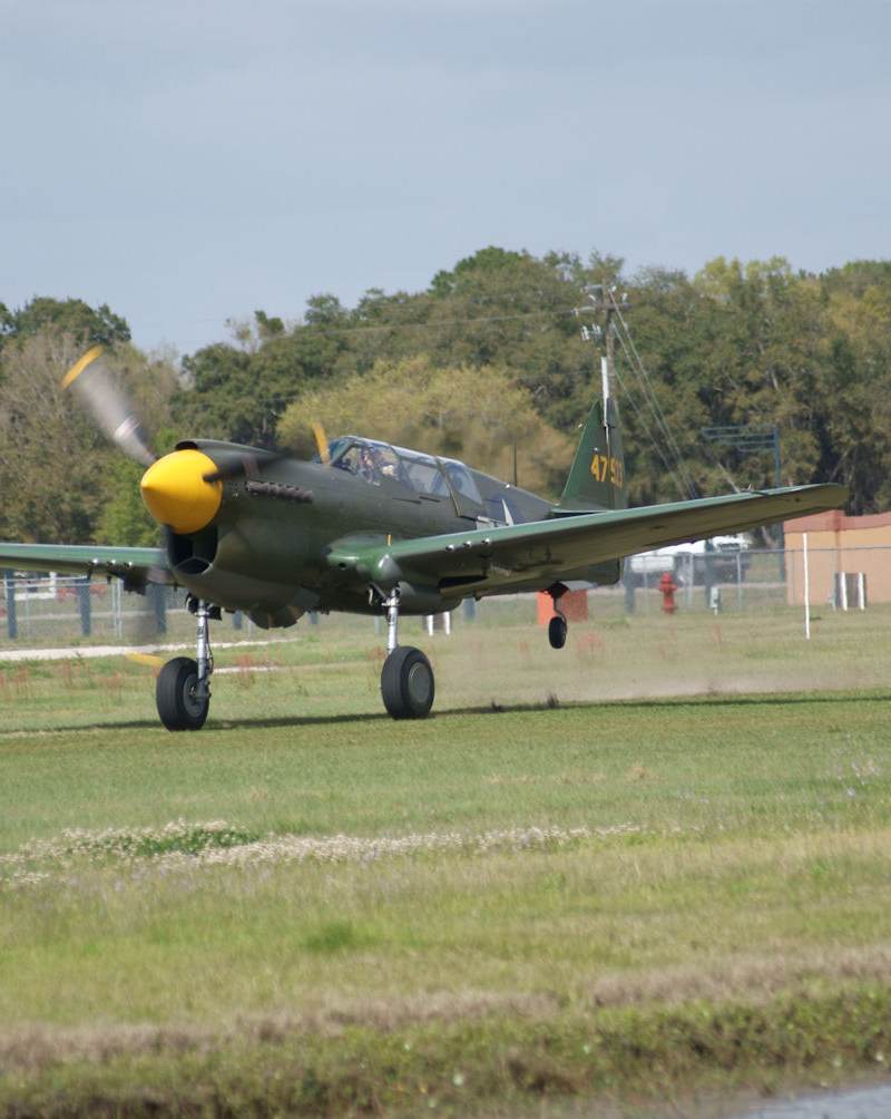 - Warbird