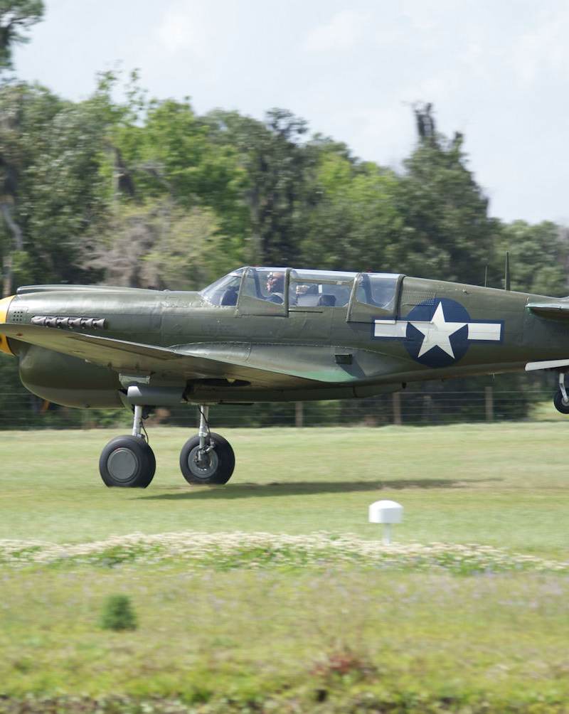  - Warbird
