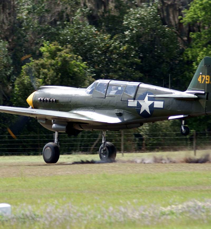  - Warbird