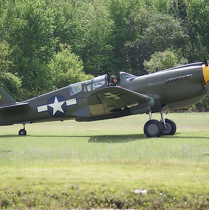  - Warbird