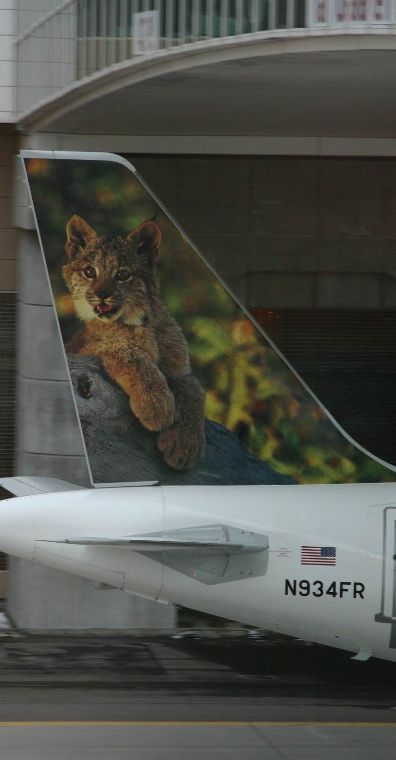 N934FR - Aircraft