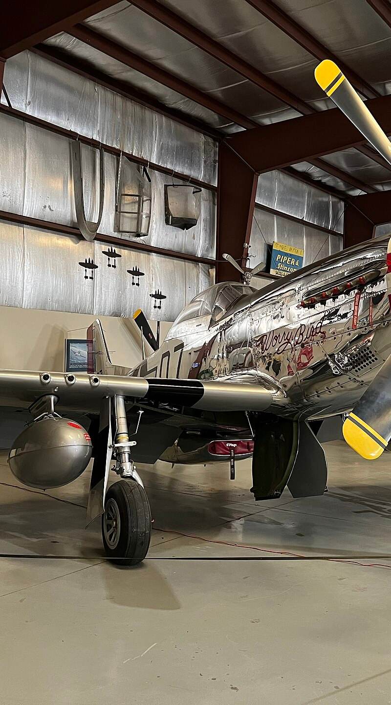 N951M - Warbird