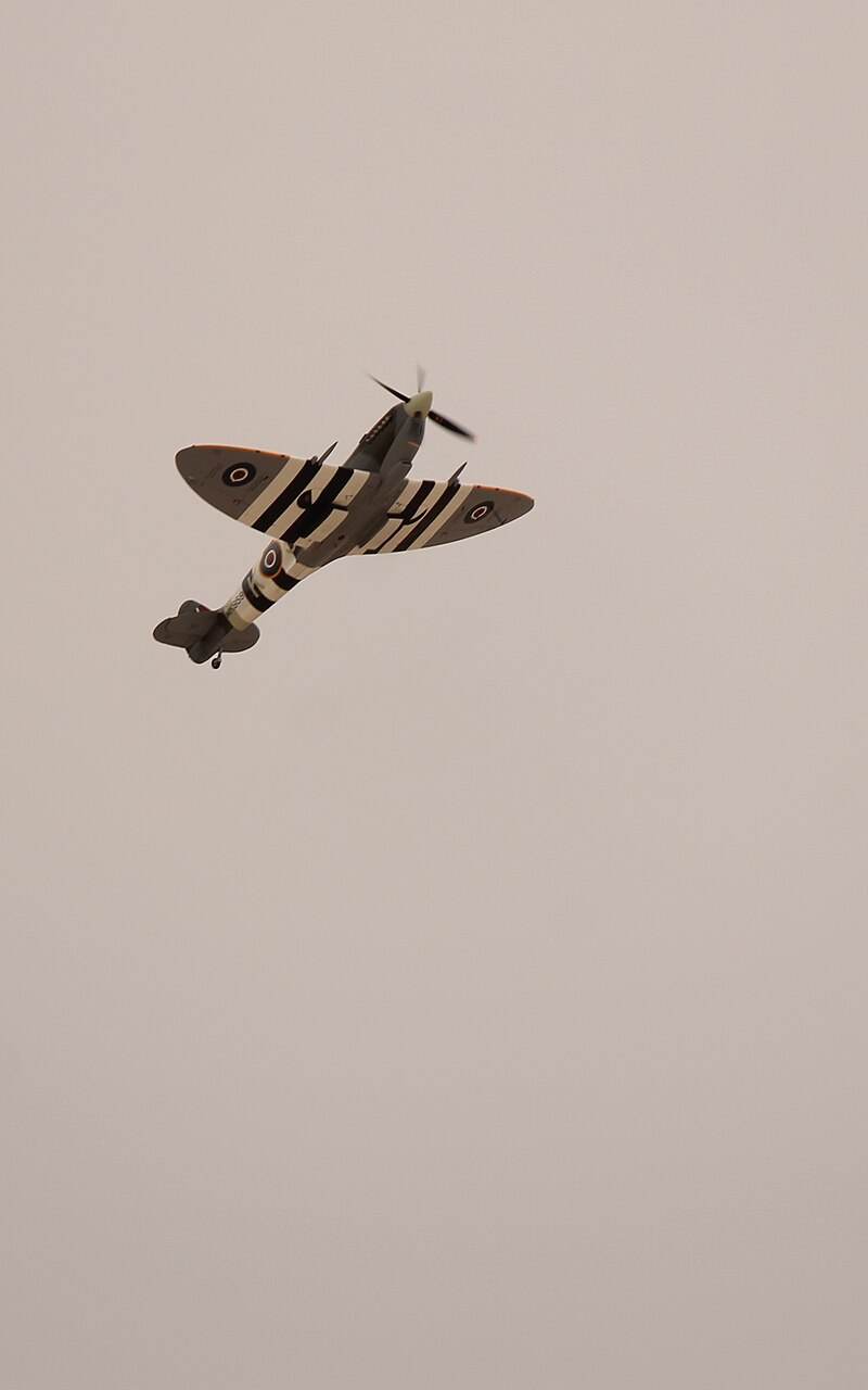 N959RT - Warbird