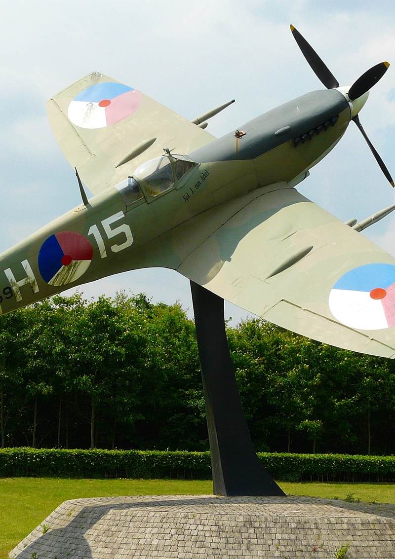  - Warbird