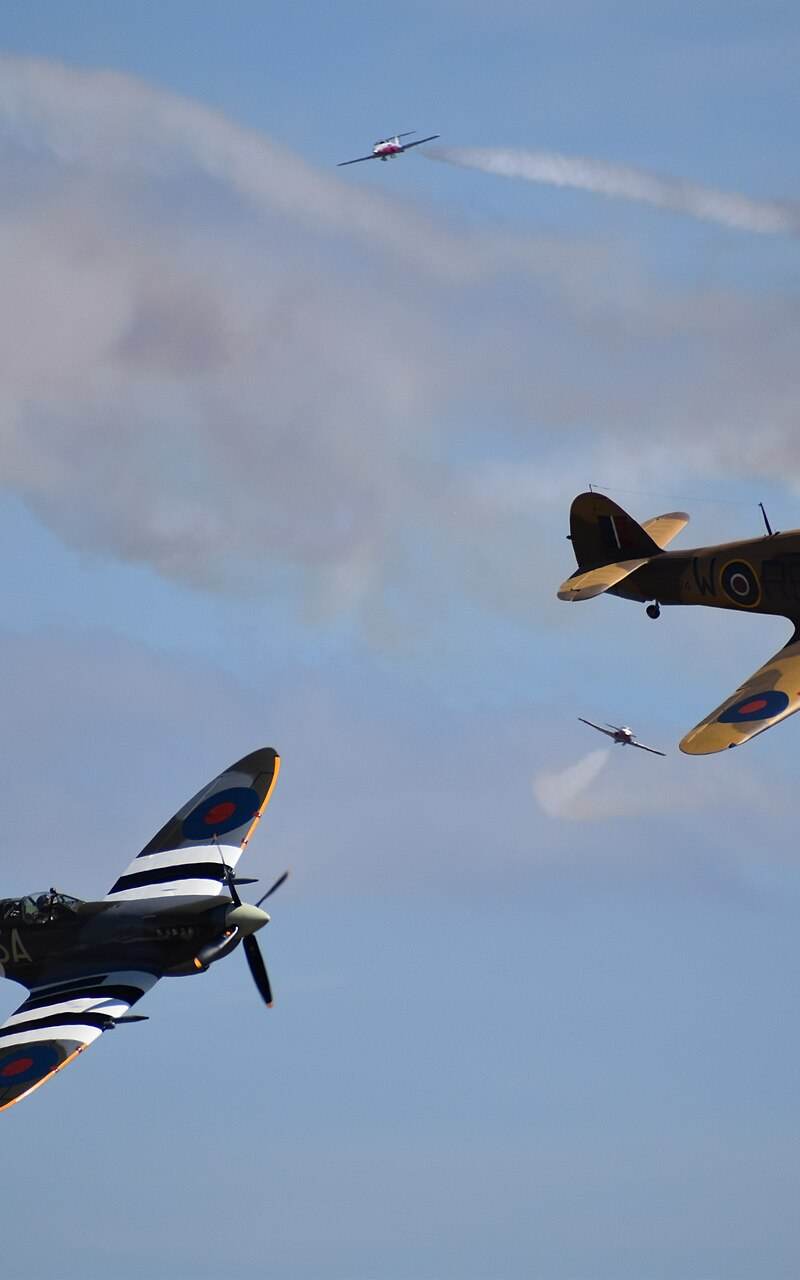  - Warbird